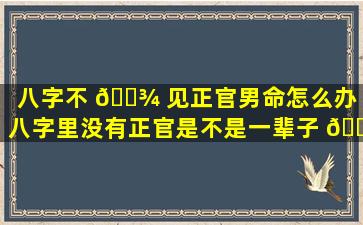 八字不 🌾 见正官男命怎么办（八字里没有正官是不是一辈子 🌼 没老公）